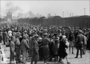 Seleksjon i Birkenau