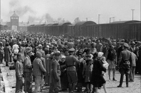 Seleksjon i Birkenau